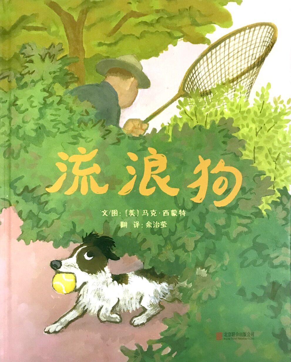 流浪狗